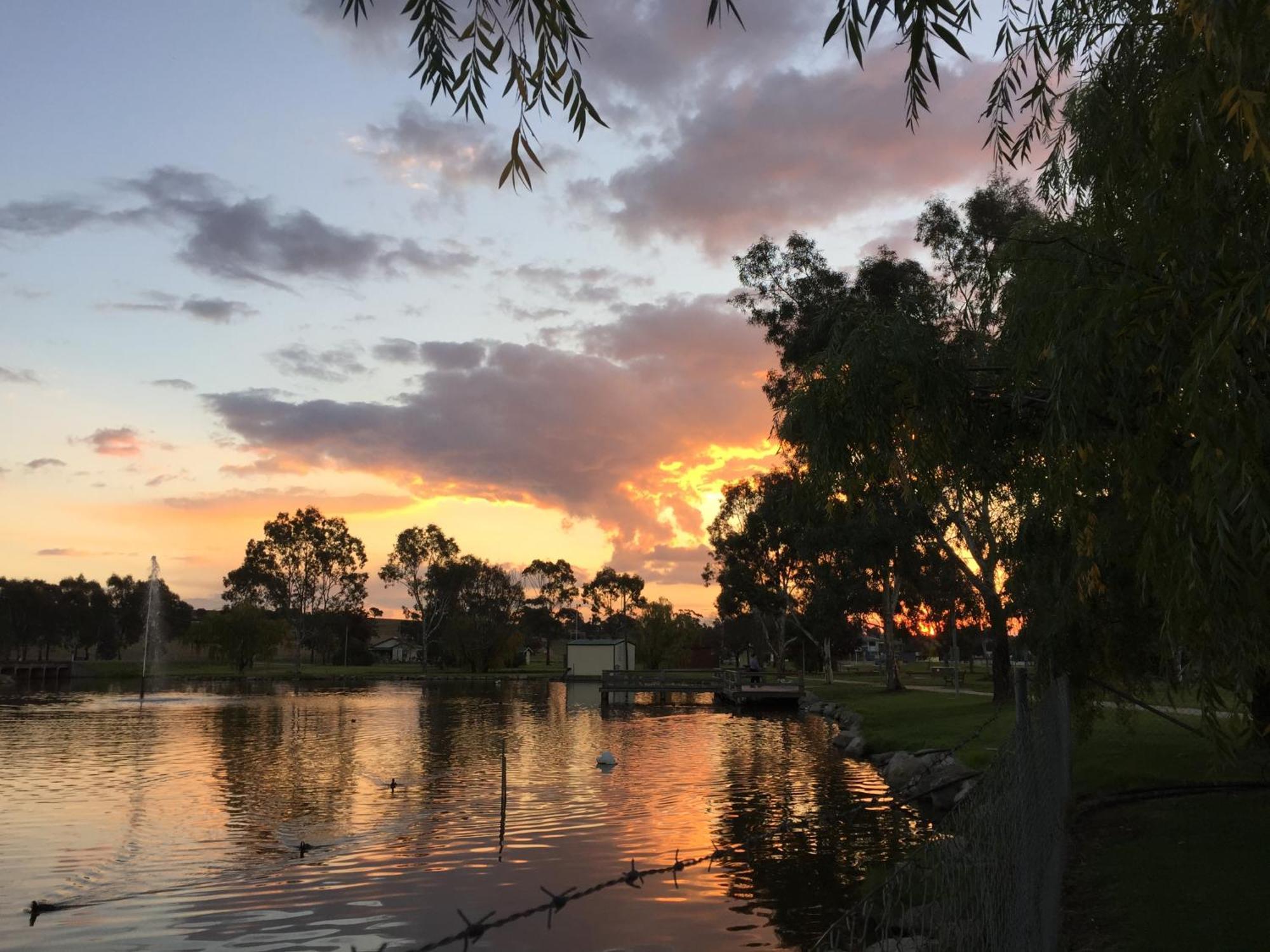 Junee Tourist Park Bagian luar foto