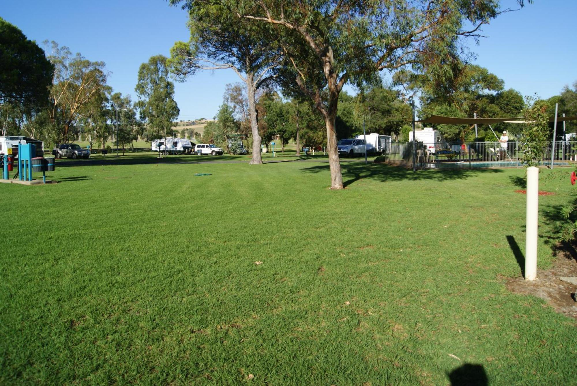Junee Tourist Park Bagian luar foto
