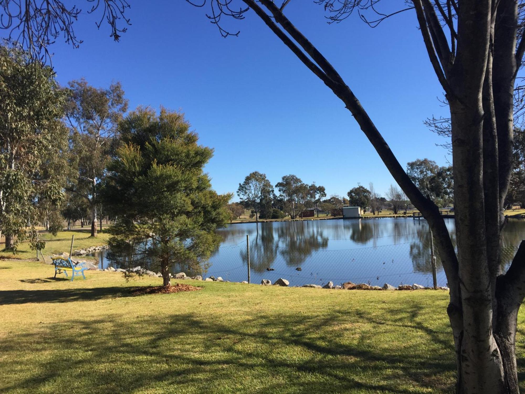 Junee Tourist Park Bagian luar foto