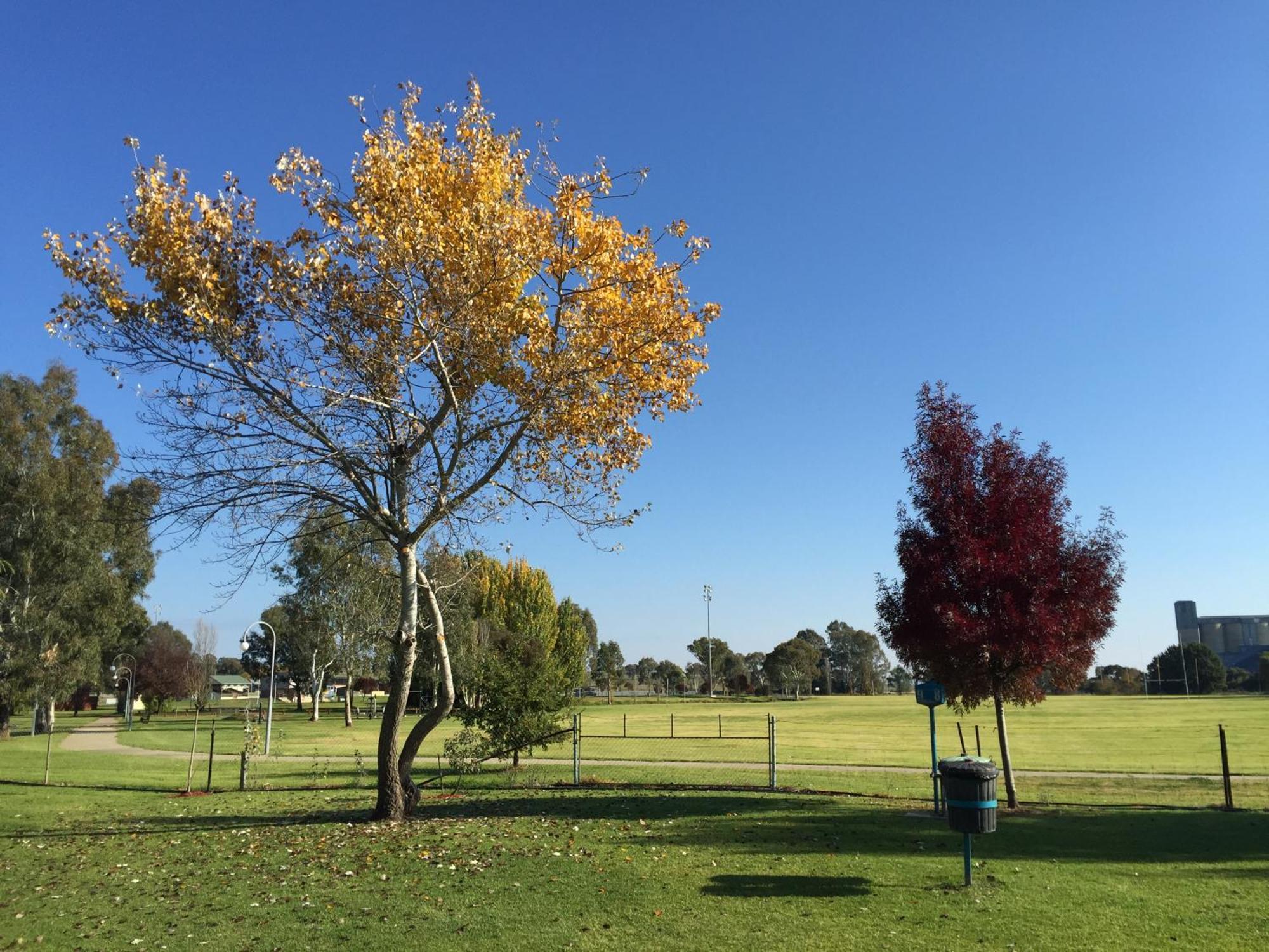 Junee Tourist Park Bagian luar foto