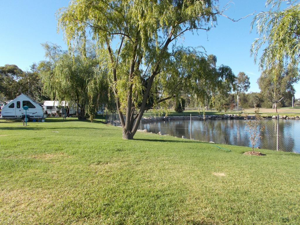 Junee Tourist Park Bagian luar foto