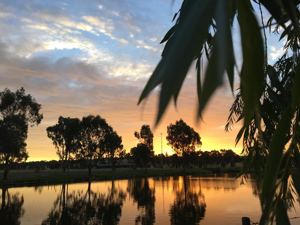 Junee Tourist Park Bagian luar foto