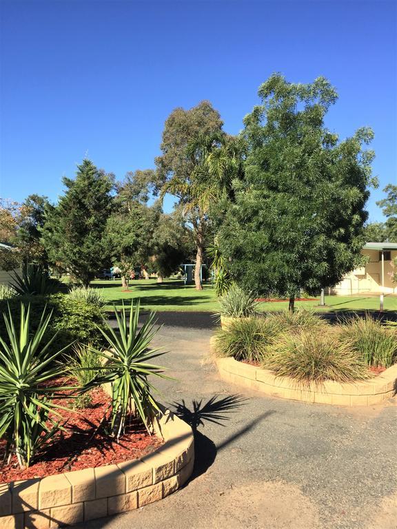 Junee Tourist Park Bagian luar foto