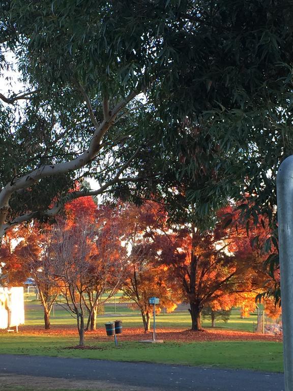 Junee Tourist Park Bagian luar foto