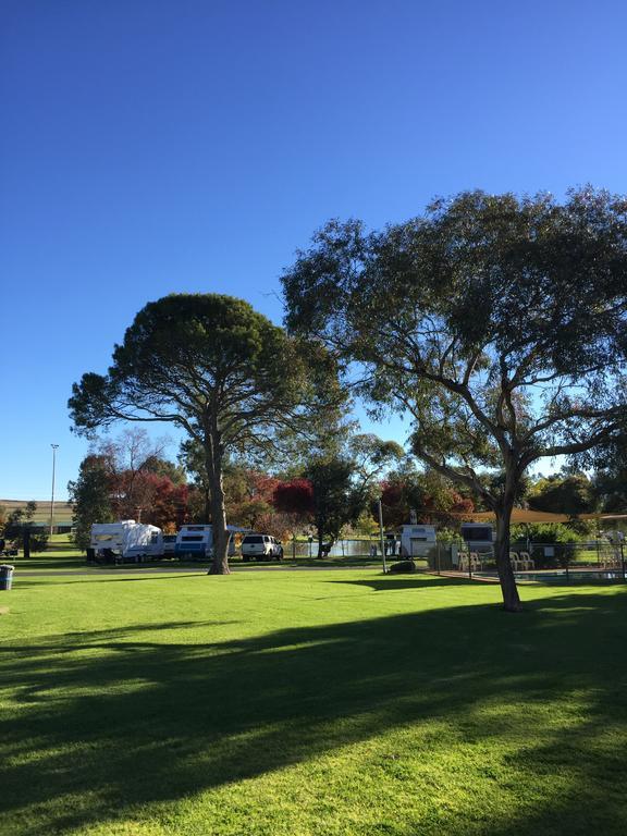 Junee Tourist Park Bagian luar foto