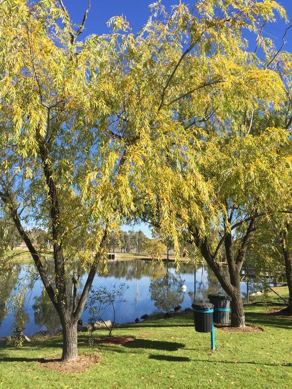 Junee Tourist Park Bagian luar foto