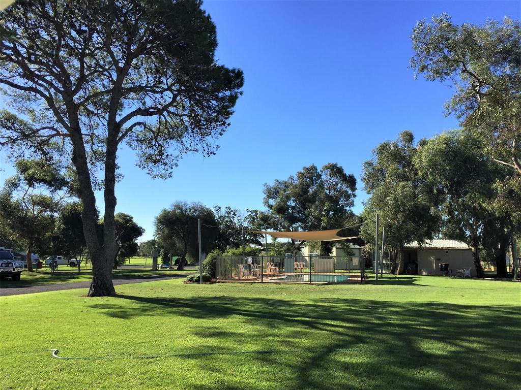 Junee Tourist Park Bagian luar foto