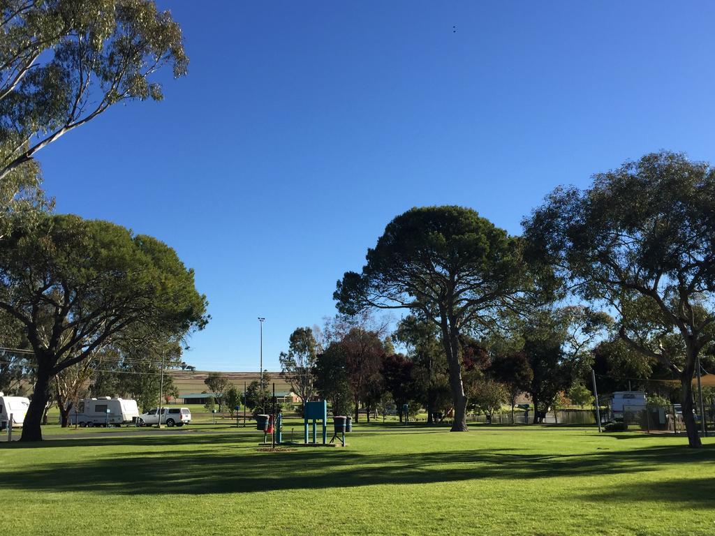 Junee Tourist Park Bagian luar foto